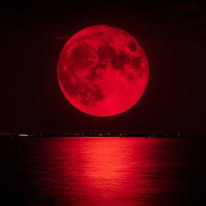 Meet your Posher, Honeydahlia